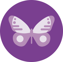 Cartoon image of a butterfly