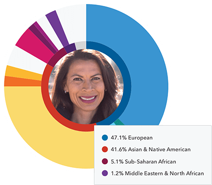 ancestry pie chart with regions