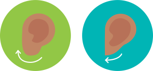 Earlobe Type & Genetics