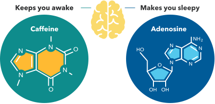 Caffeine Consumption & Genetics