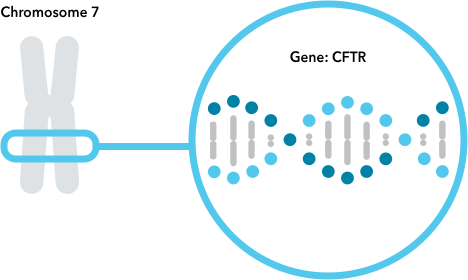 Cystic Fibrosis
