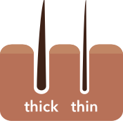 Hair Thickness & Genetics